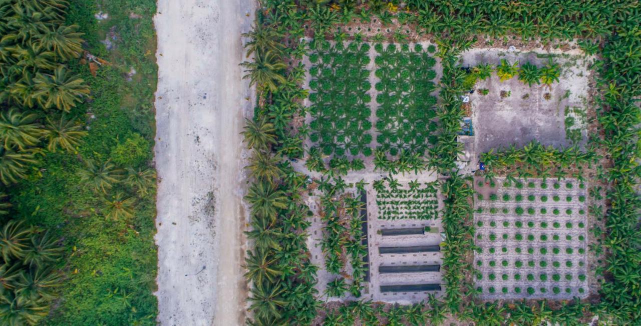 Sunview Residence Kaashidhoo المظهر الخارجي الصورة